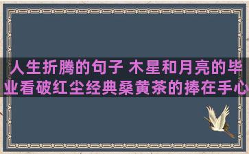 人生折腾的句子 木星和月亮的毕业看破红尘经典桑黄茶的捧在手心的唯美语录